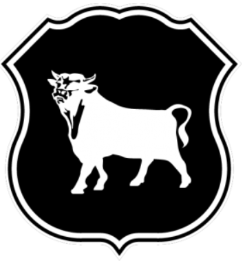 Tobacco Road FC 2017-Pres Primary Logo DTF transfer for t shirt